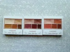 CANMAKE パーフェクトマルチアイズ