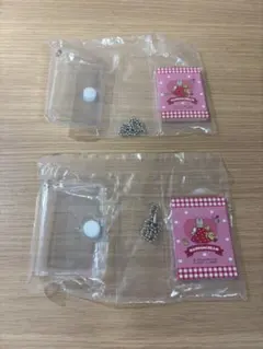 サンリオキャラクターズ　プロフィール帳　マロンクリーム