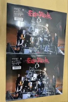 &TEAM Go in Braind 月狼 初回限定盤　未開封