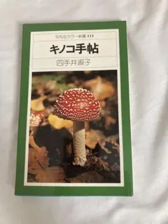 Item thumbnail for item 3325b209-3c30-4b7a-8ccc-e6962ed3a995