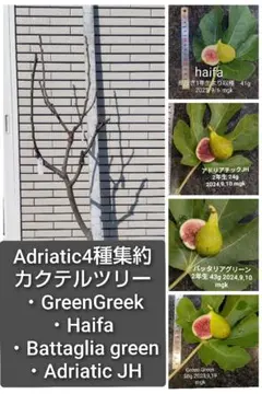 幸せの海様専用