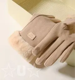 手袋 レディース 暖かい 裏起毛 防寒 スウェード ボア 人気 ベージュ 再入荷