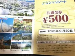 ナガシマリゾート 共通金券 500円券のサムネイル