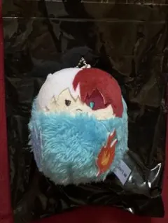 僕のヒーローアカデミア くるみたぴぬい 轟焦凍