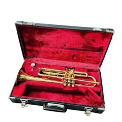 Item thumbnail for item 40cb281b-8a8a-4e2b-8d06-af7e86342fe2