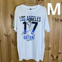 Item thumbnail for item 2815b68d-7e5e-46cf-991f-2a0cb09a4ea6