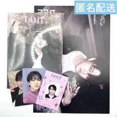 straykids Do It アコーディオン アルバム トレカ チャンビン