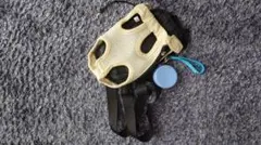 Item thumbnail for item 44a0e92e-1dc4-4ca3-bcee-d691a6fb38e9