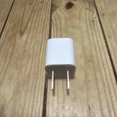 ホワイト 2ピンプラグ充電器