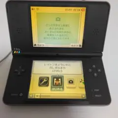 k*ん様 ニンテンドーDSi LL 本体