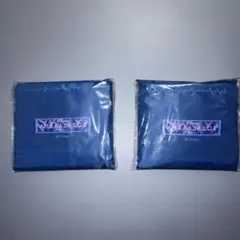 Disney AMBASSADOR HOTEL エコバッグ 2点未使用品