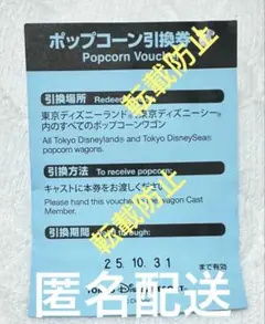 ディズニー　リゾート　ポップコーン引換券　ランド　シー　バケット　ポップコーン
