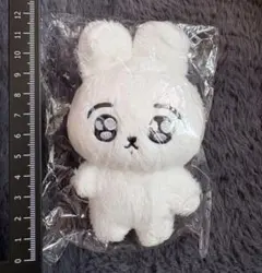 新品未開封 BTSジョングク マスタニム ぬいぐるみ