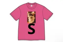 Supreme x Spitfire Flag Tee 