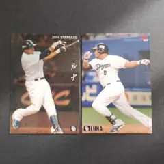 プロ野球チップスカード 中日ドラゴンズ ルナ 2枚セット