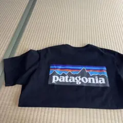 パタゴニア　Tシャツ