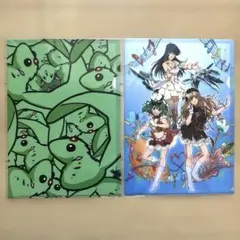 マクロス 30周年 超時空展覧会　クリアファイル　2枚セット