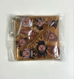 こびとづかん マルチケース KAKUREKEDAMA