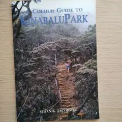 Item thumbnail for item acad90eb-44f1-4c22-81c1-86a99bd343eb