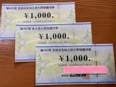 【匿名配送】ビックカメラ 株主優待券 3000円分（¥1,000 ×3枚セット）