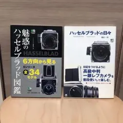 Item thumbnail for item 2f20045d-d112-4c25-a344-4db8e1499efc