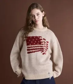 DAMAGE FLAG KNIT/ダメージフラッグニットのサムネイル