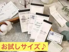 古森ベルリン日記シリーズアメシリーズアメリカンレトロメモ♪SP-RT719