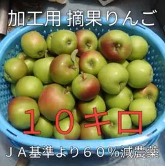 【特価】加工用　摘果りんご　10キロ　長野県産　送料無料地域限定　65のサムネイル