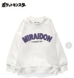 Item thumbnail for item 770a36ba-7082-4b87-b5c5-b87fa87adaab