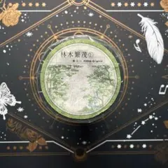 9863】海外 マステ 5m巻 PETマスキングテープ 桃源郷 古風 背景 - メルカリ
