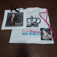 安室奈美恵 비매품 来場者配布品 リーフレット ショッパー