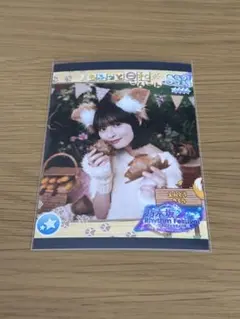 乃木坂46 乃木フェス もふっと日和 プリントカード 遠藤さくら - メルカリ