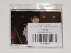 遠藤さくら アクリルスタンド 乃木コレ 真夏の全国ツアー2023 ②