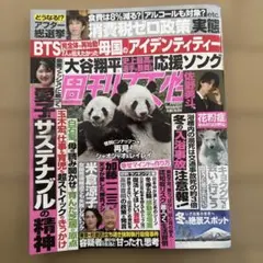 Item thumbnail for item 9d8ffe77-298a-4027-bef0-44b2737fd9ec