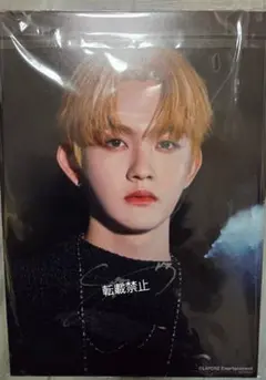 2025年最新】田島将吾 サインの人気アイテム - メルカリ