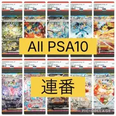 2025年最新】テラスタルフェスex sar ブイズ 10枚セットの人気