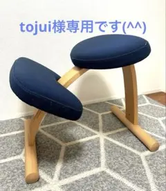 バランスイージー 健康用品