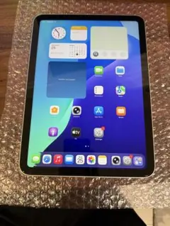 や*ん様 Apple iPad 第10世代 10.9インチ 64GB シルバー本