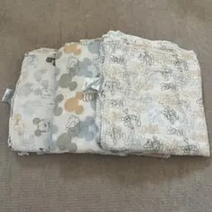 エイデンアンドアネイ ディズニー