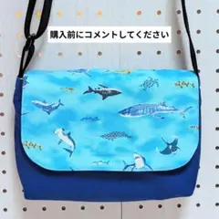 Item thumbnail for item 73fa313e-9a68-4638-b577-aab0b6816a05