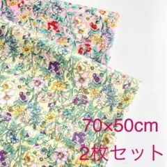 Item thumbnail for item 3a1bcdf8-cdcc-4111-936e-b074604ee0fd