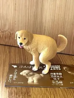 ゴールデンレトリバー カプセルトイ