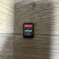 ゼルダの伝説 ティアーズオブザキングダム　カセットのみ