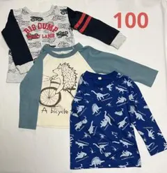 H*a様 100 男の子　トレーナー　長袖　Tシャツ