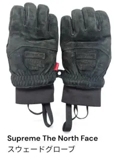Supreme × THE NORTH FACE レザーグローブ Mサイズ 黒