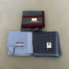 ハンカチ 3枚セット バレンチノ・ガラヴァーニ 他