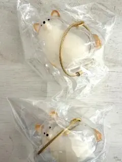 うちの子のけだまだま　柴犬