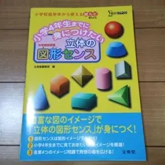 美品 小学4年生までに身につけたい立体の図形センス