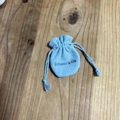 TIFFANY & Co. 巾着袋 ポーチのみ