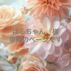 はるちゃん様　専用のページです☆